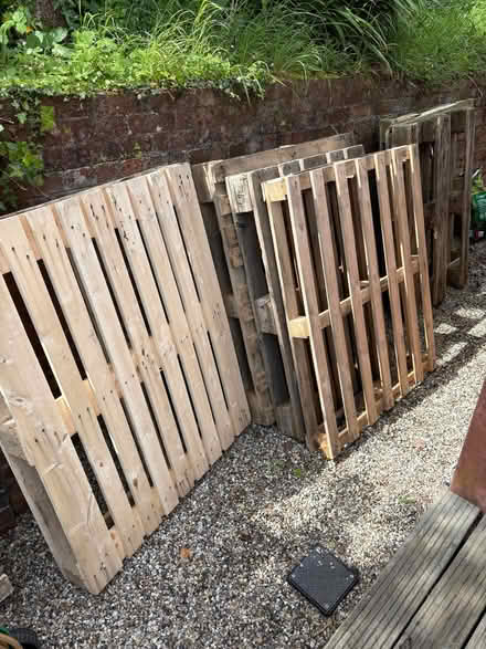 Photo of free Pallets (Chelston TQ2) #2
