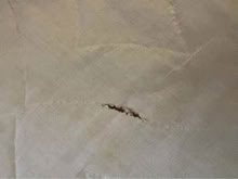 Photo of free Queen mattress protector (L5L 5P5) #3