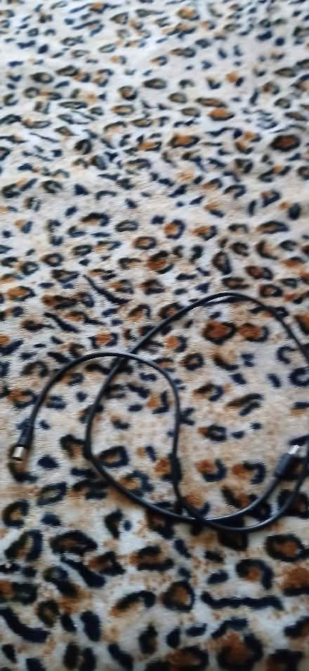 Photo of free Aerial cable (Perivale UB6) #1