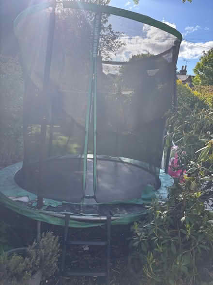 Photo of free Trampoline (Bridge of Allan FK9) #2