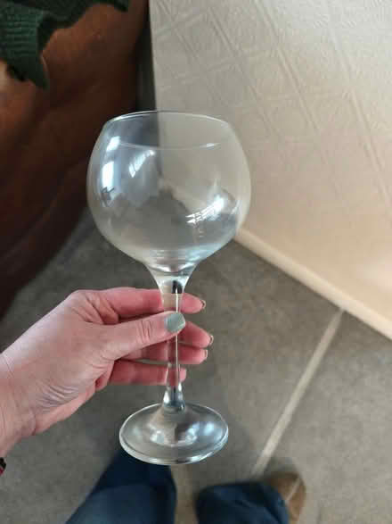 Photo of free Large wine/gin glass (Sunningdale Ave LS17) #1
