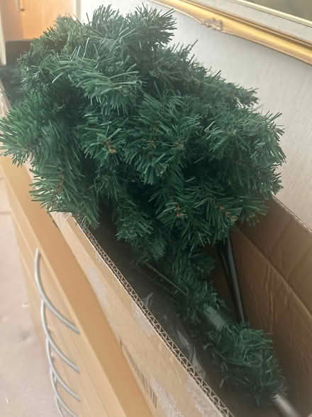 Photo of free 6 foot Christmas tree (Eastbourne BN21) #1