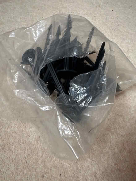 Photo of free Terrapins - for garden matting etc (Purley CR8) #3