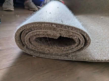 Photo of free Cream carpet roll (Braintree CM7) #2