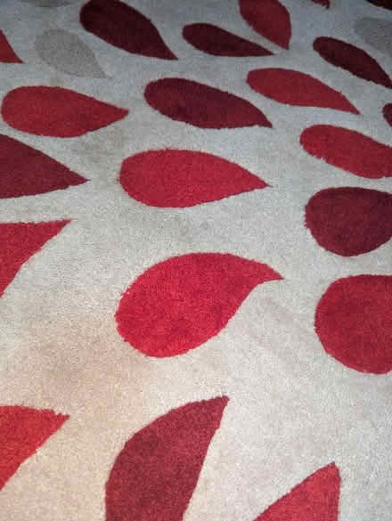 Photo of free Rug 150 X 240 cm (Maidstone Town centre ME15) #3