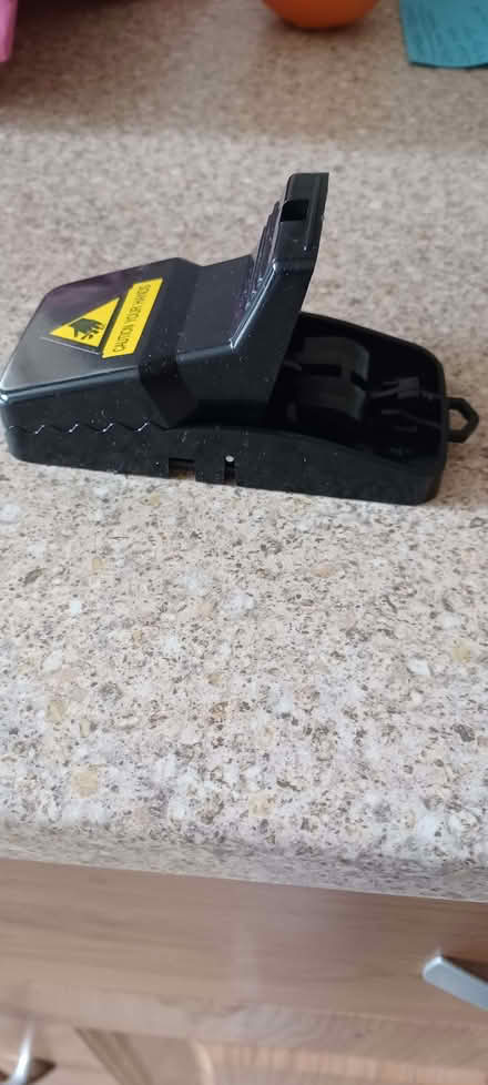 Photo of free Mousetraps (Longden SY5) #2
