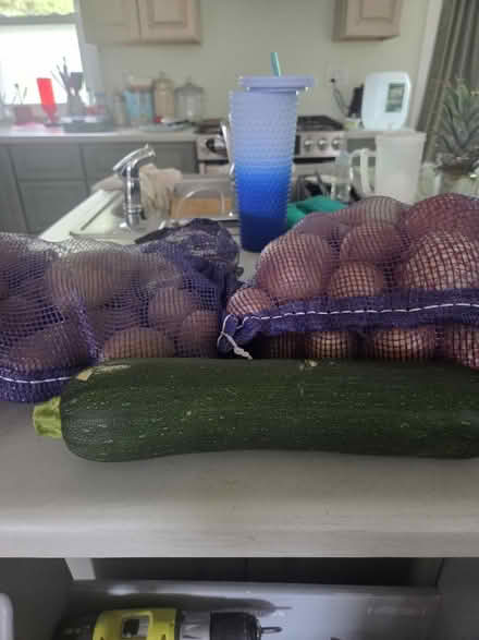 Photo of free food (Valley Stream) #3