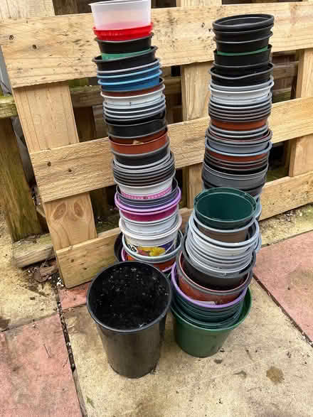 Photo of free Plastic plant pots (Westgate LA4) #1