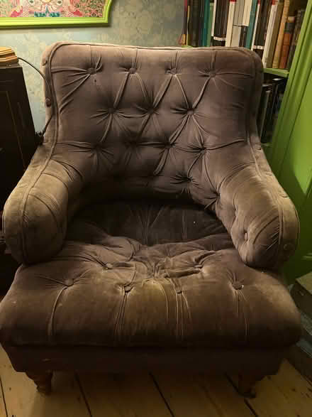 Photo of free Two Velvet Armchairs (Camden Town NW1) #1