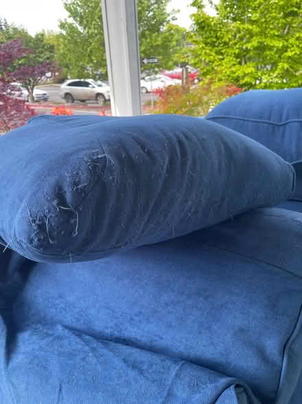 Photo of free 8piece couch (Bainbridge) #4