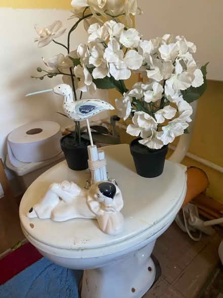 Photo of free Artificial plants and bird (B9 bordesley green) #1