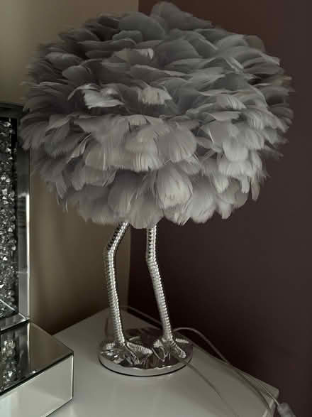 Photo of free Grey feather table lamp (Hyde, SK14) #2