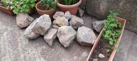 Photo of free Rocks (Kendal LA9) #1