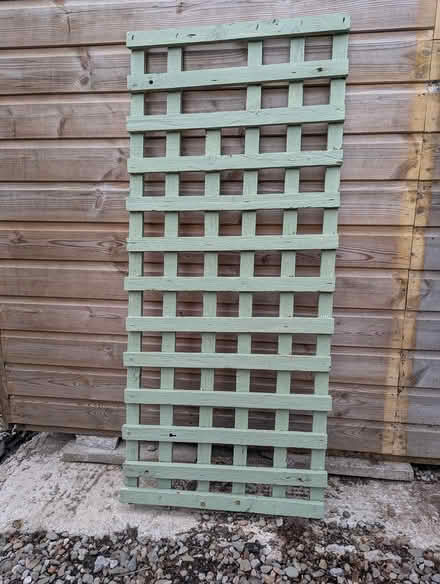 Photo of free Trellis (Kingsland) #1