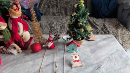 Photo of free Small Christmas Tree Bundle (TN25) #2