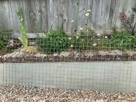 Photo of free 2” square wire mesh (TA3) #2