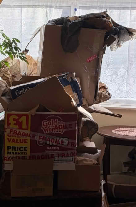 Photo of free Boxes and filling materials (edgbaston B16) #1