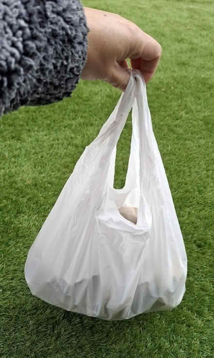 Photo of free Bag of natural decorative bits (Boughton Monchelsea ME17) #4