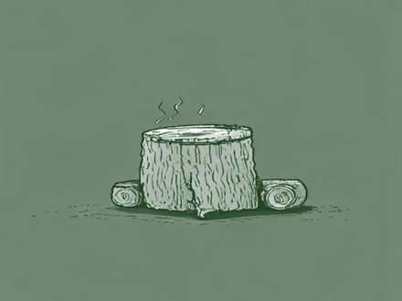 Photo of free seasoned logs for wood burner (Tile Hill CV4) #1