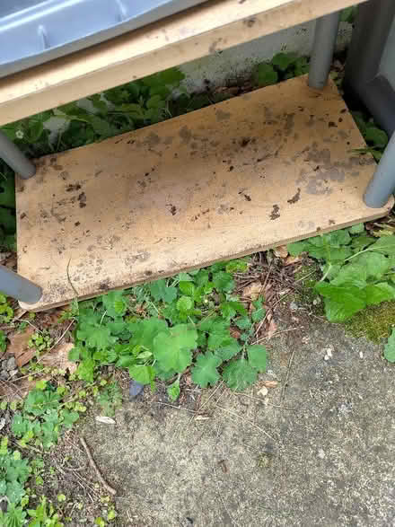 Photo of free Tatty shelf unit ... suitable for shed? (Amber Valley DE56) #2