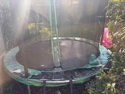 Photo of free Trampoline (Bridge of Allan FK9) #3