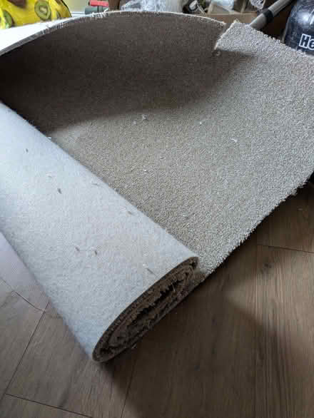 Photo of free Cream carpet roll (Braintree CM7) #1
