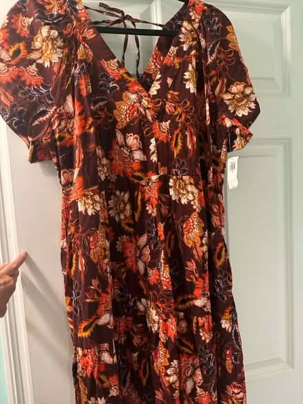 Photo of free XL dresses (Burlington) #1