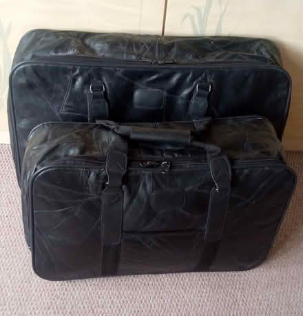 Photo of free Carry bags - suitcase style (east twickenham) #1