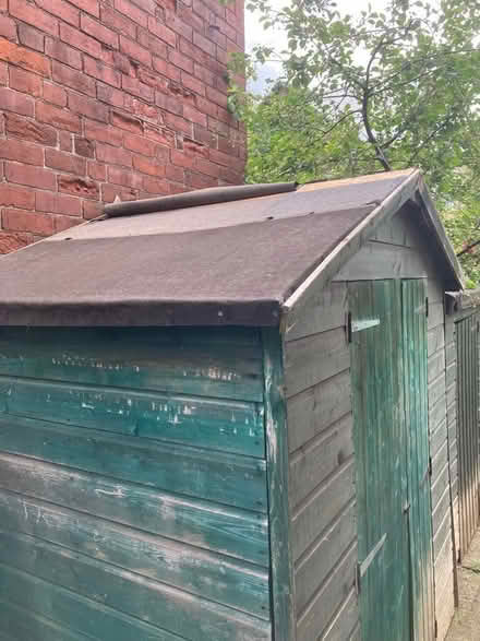 Photo of free Garden Shed (Hillsborough S6) #1