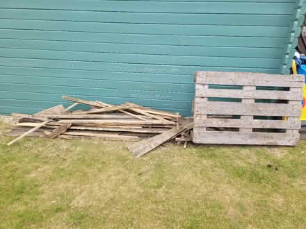Photo of free Wood For Burning (Wells-next-the-Sea NR23) #1