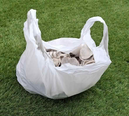 Photo of free Bag of natural decorative bits (Boughton Monchelsea ME17) #3