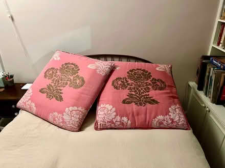 Photo of free Whimsical Large Decorative Pillows (Upper West Side) #2