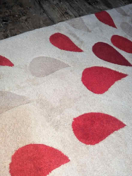 Photo of free Rug 150 X 240 cm (Maidstone Town centre ME15) #2