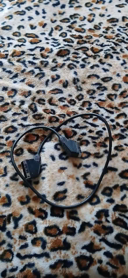 Photo of free Short SCART Lead (Perivale UB6) #1