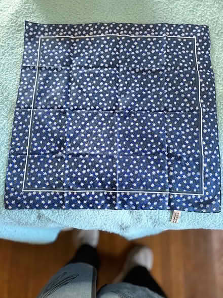 Photo of free Edelweiss Bandana (Heritage District, Sunnyvale) #1