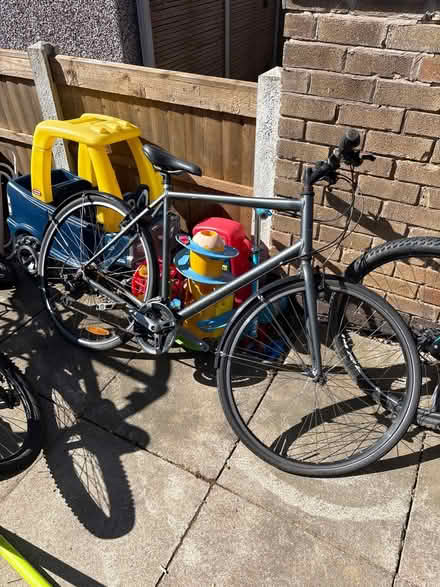 Photo of free Bile (Stapleford NG9) #1