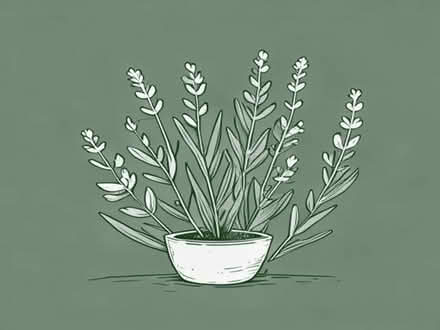Photo of Perennial plants for the garden (Stonehouse GL10) #1
