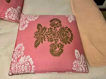 Photo of free Whimsical Large Decorative Pillows (Upper West Side) #1
