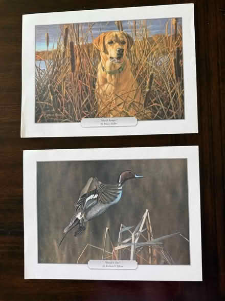 Photo of free 2 Animal Prints (NE Glenview (Lake & Harms)) #1