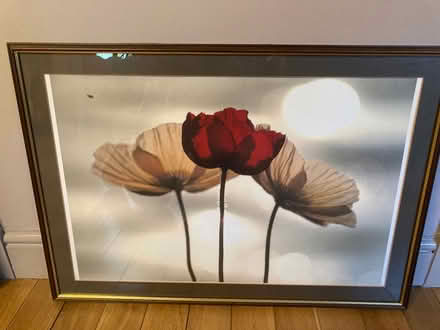 Photo of free Wooden framed picture (Edinburgh EH5) #3
