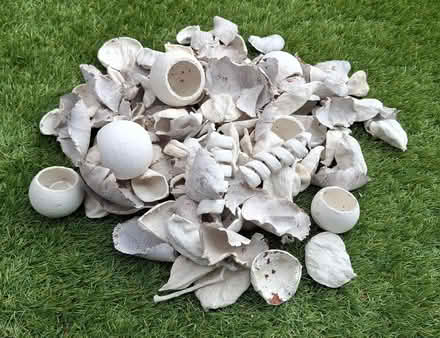 Photo of free Bag of natural decorative bits (Boughton Monchelsea ME17) #1
