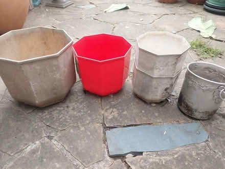 Photo of free Pots (SW16) #1