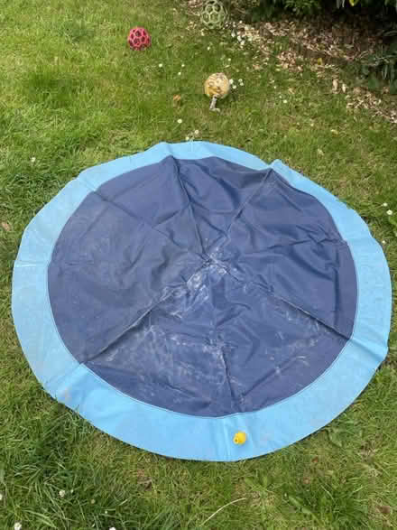 Photo of free Splash mat for dogs (Woodingdean) #1