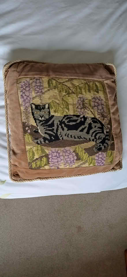 Photo of free Embroidered velvet cushion (Buggs Bottom RG4) #1