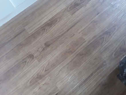 Photo of free Timber Effect Laminate Floor (Great Salkeld CA11) #2