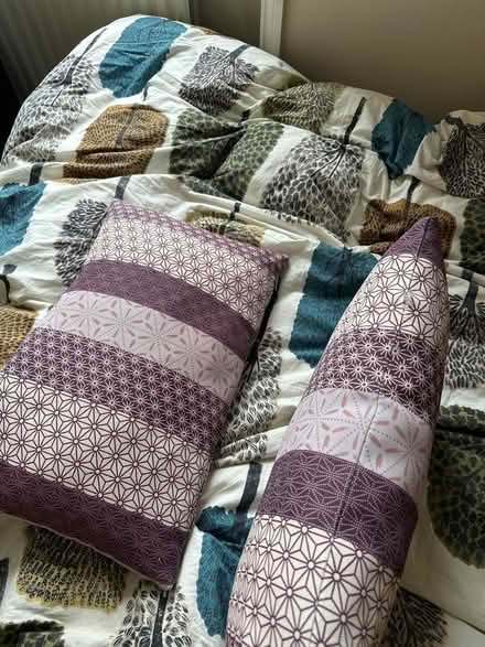Photo of free 2x small cushions, clean (Stepney E1) #2