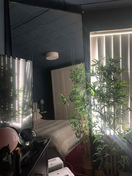 Photo of free Very tall wardrobe door mirror (Westcliff SS0) #2