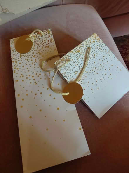 Photo of free Bottle bag and gift bag (Stafford ST17) #1