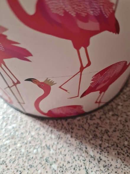 Photo of free Tin with flamingos (Barton OX3) #4