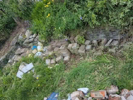 Photo of free Old paving tiles (Carryduff BT8) #2